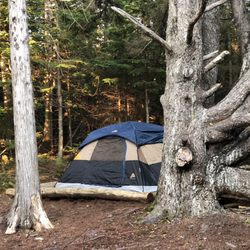 Schoodic Woods Campground