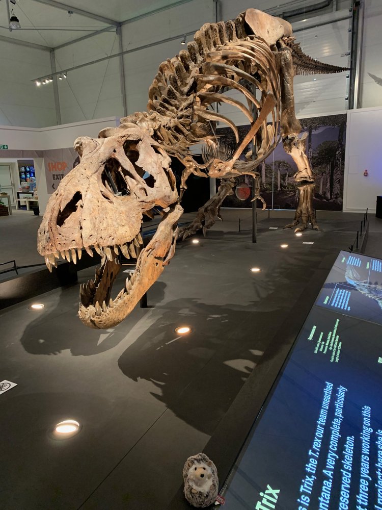 Kelvin Hall International Sports Arena