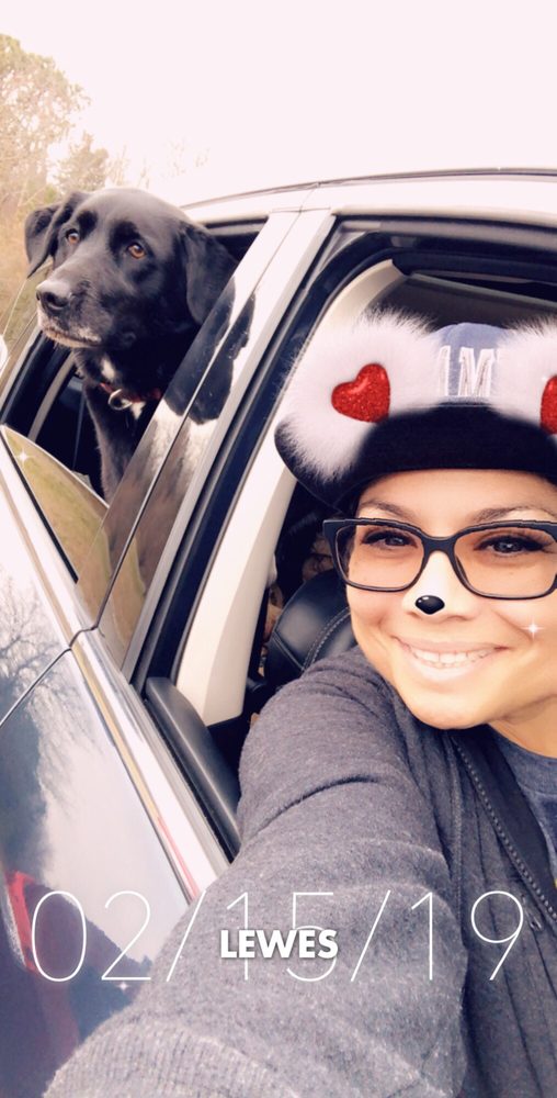 LEWES UNLEASHED Updated August 2024 Park Rd, Lewes, Delaware Dog