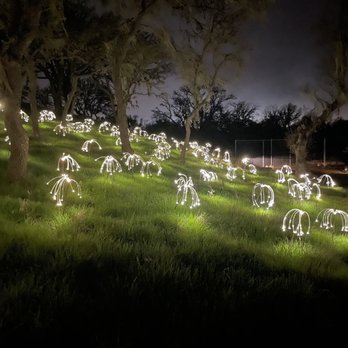 Sensorio - Art Galleries Near Me - Paso Robles, California