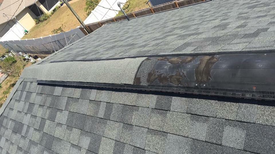 Slide of Rhyne Restoration