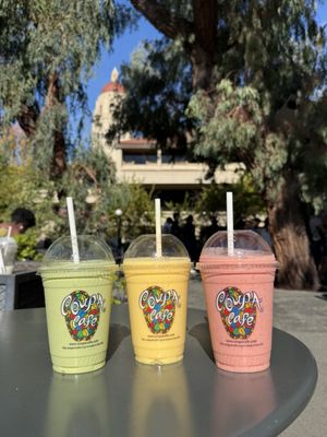 Coupa Cafe - Green Library by null