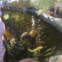 The Buddha Belly