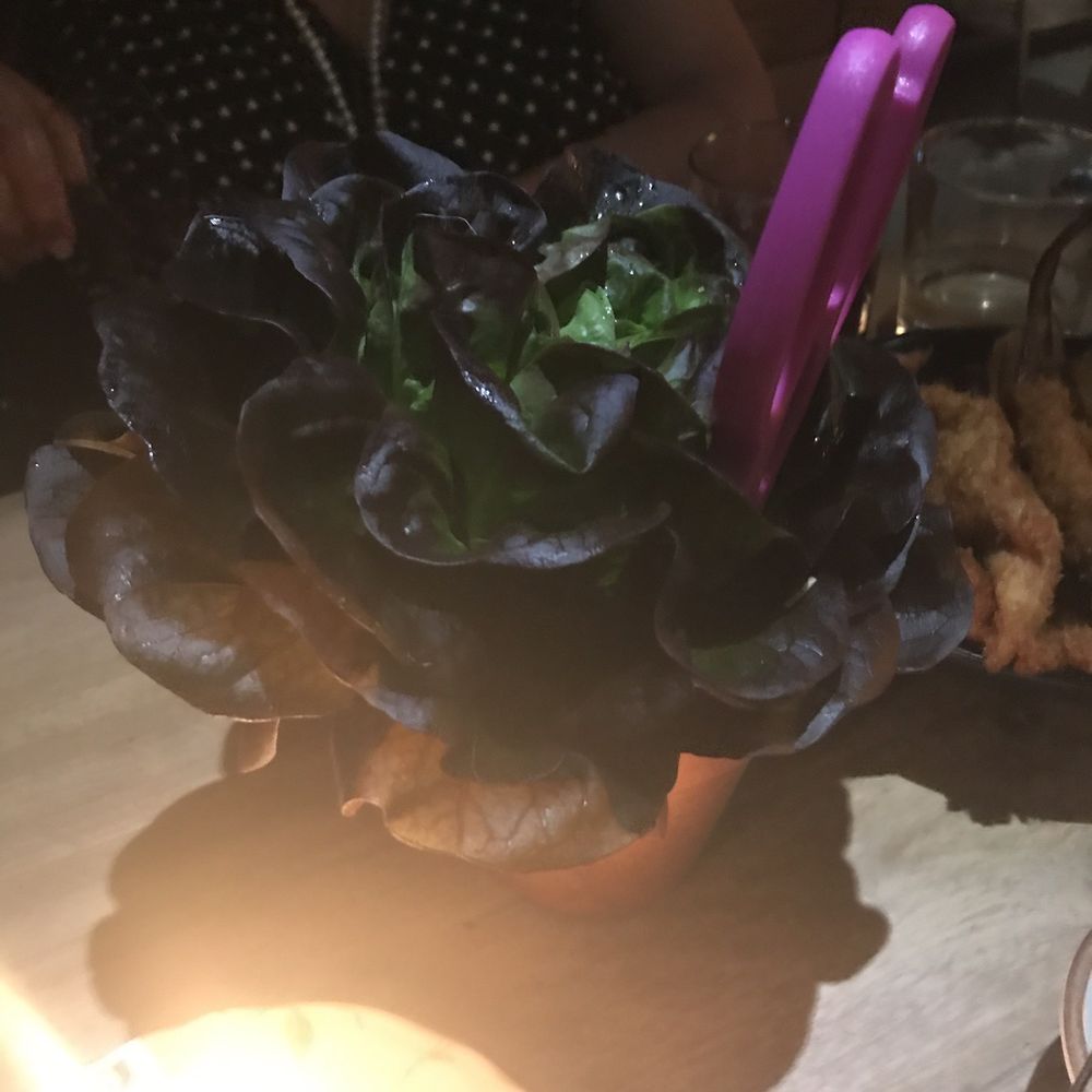 La Gabinoteca - The salad served in a pant pot. - Spanish Near Me - Madrid, M La Gabinoteca - The salad served in a pant pot. - Spanish Near Me - Madrid, M