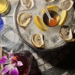Oysters Oysters
