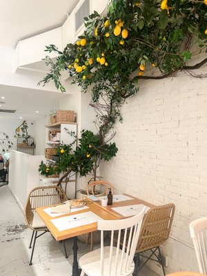 OL'DAYS Farm to Table - NoMad by null