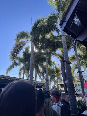 The Patio Tampa by null