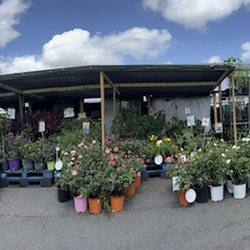 Location : (Beach Boulevard Flea Market) 11041 Beach Blvd, Jacksonville, FL 32246.  At Aisle D27