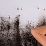 Photo of Mold Testing NJ-NY