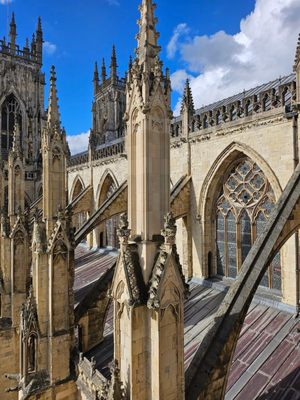 York Minster by null
