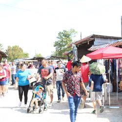 Ripley's First Monday Trade Day - Saturday mornings at the Market