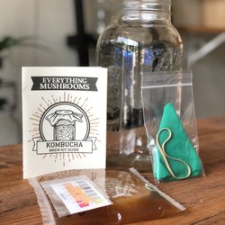 Kombucha kit