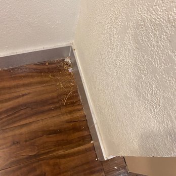Comfort Inn and Suites - When they did mop on our floor by the elevator they left all of this in the corner for days - Hotels Near Me - Belton, Texas Comfort Inn and Suites - When they did mop on our floor by the elevator they left all of this in the corner for days - Hotels Near Me - Belton, Texas