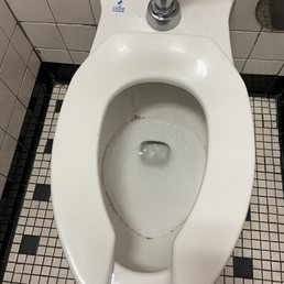 Mold in toilet Mold in toilet