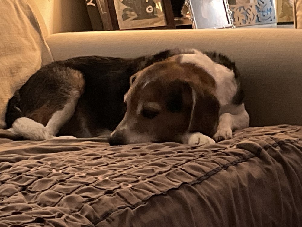 UNLEASHED Updated September 2024 11 Photos 2416 County Highway Mn