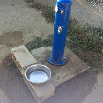 Arts District Dog Park - They cute water section. - Dog Parks Near Me - Los Angeles, California Arts District Dog Park - They cute water section. - Dog Parks Near Me - Los Angeles, California
