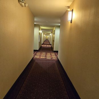 Holiday Inn Express & Suites Gillette - The actual hallways - Hotels Near Me - Gillette, Wyoming Holiday Inn Express & Suites Gillette - The actual hallways - Hotels Near Me - Gillette, Wyoming