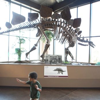 Royal Gorge Dinosaur Experience - Museums Near Me - Canon City, Colorado Royal Gorge Dinosaur Experience - Museums Near Me - Canon City, Colorado