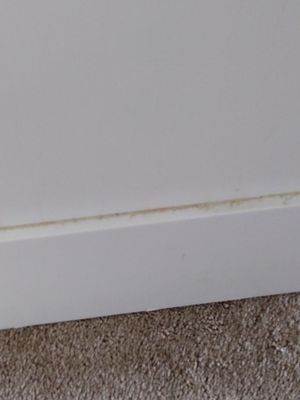 JANNETT’S DETAIL CLEANING SERVICES - Updated December 2024 - 155 Photos