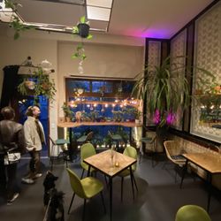 Botanica