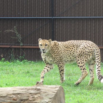 Nova Wild - Petting Zoos Near Me - Vienna, Virginia