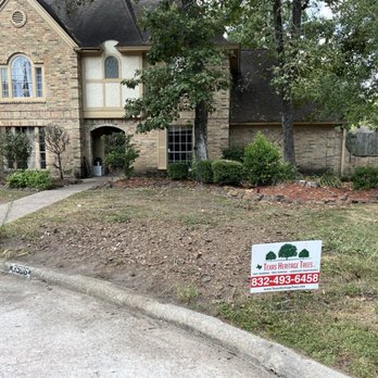 Texas Heritage Trees - Completion? - Gardeners Near Me Texas Heritage Trees - Completion? - Gardeners Near Me