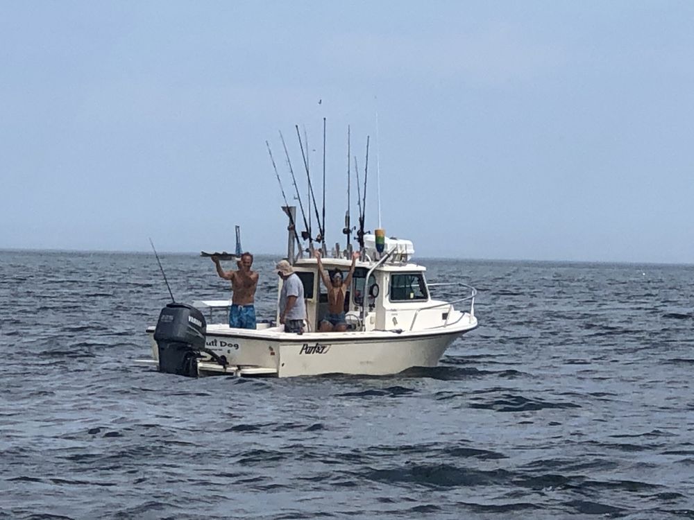 Blueline Fishing Charters Logo