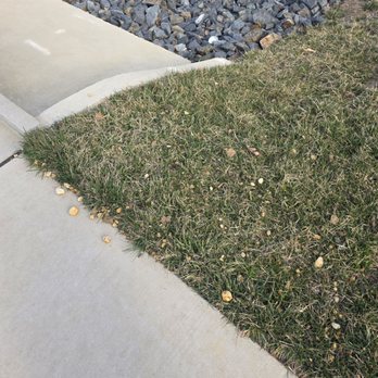 Outdoor Creations Landscape Services - Landscaping Near Me - Waldorf, Maryland