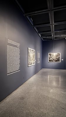 New Orleans Museum of Art by null New Orleans Museum of Art by null