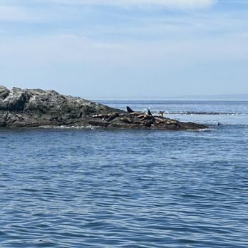 Outer Island Expeditions - Fishing Near Me - Eastsound, Washington