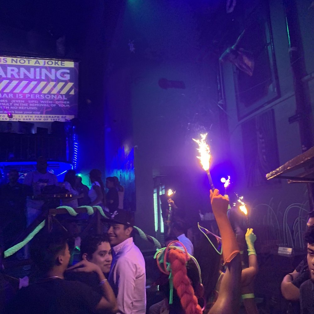 Zoo - Dance Clubs Near Me - Puerto Vallarta, JAL Zoo - Dance Clubs Near Me - Puerto Vallarta, JAL