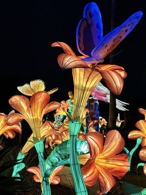 San Antonio Botanical Garden by null