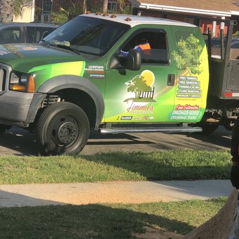 Jimmie's Tree Service - Tree Services Near Me Jimmie's Tree Service - Tree Services Near Me