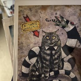 Beetlejuice cat