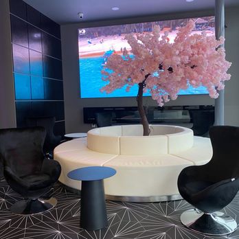 Pekoe - Sitting area - Bubble Tea Near Me - Fairfax, Virginia Pekoe - Sitting area - Bubble Tea Near Me - Fairfax, Virginia