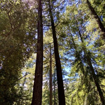 Sanborn County Park - Parks Near Me - Saratoga, California Sanborn County Park - Parks Near Me - Saratoga, California