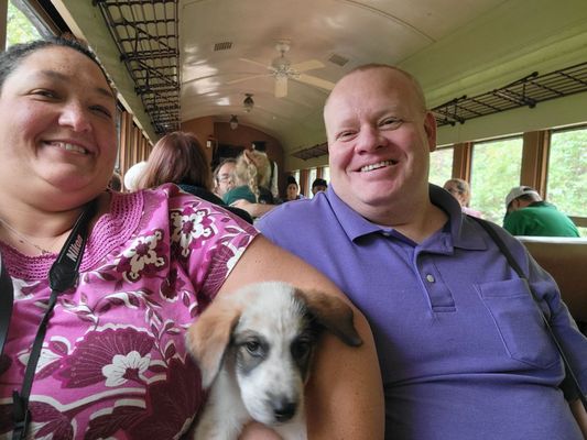 Bluegrass Scenic Railroad and Museum by null