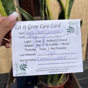 Let it Grow - Nurseries & Gardening Near Me - Fresno, California Let it Grow - Nurseries & Gardening Near Me - Fresno, California