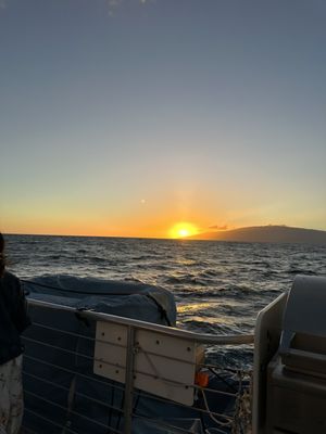 Pacific Whale Foundation by null