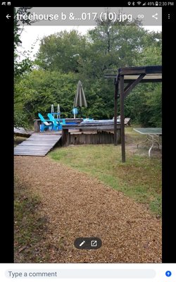 Savannah's Meadow by null