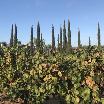 Forgotten Barrel Winery - Wine Tasting Room Near Me - Escondido, California Forgotten Barrel Winery - Wine Tasting Room Near Me - Escondido, California