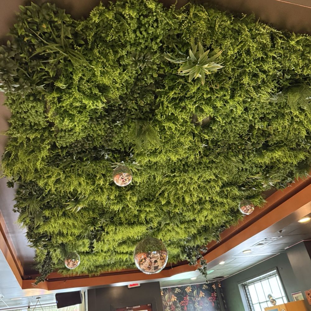 Traphouse Caribbean - Ceiling - Caribbean Near Me - Austin, Texas Traphouse Caribbean - Ceiling - Caribbean Near Me - Austin, Texas