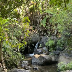 Makiki Valley Trail