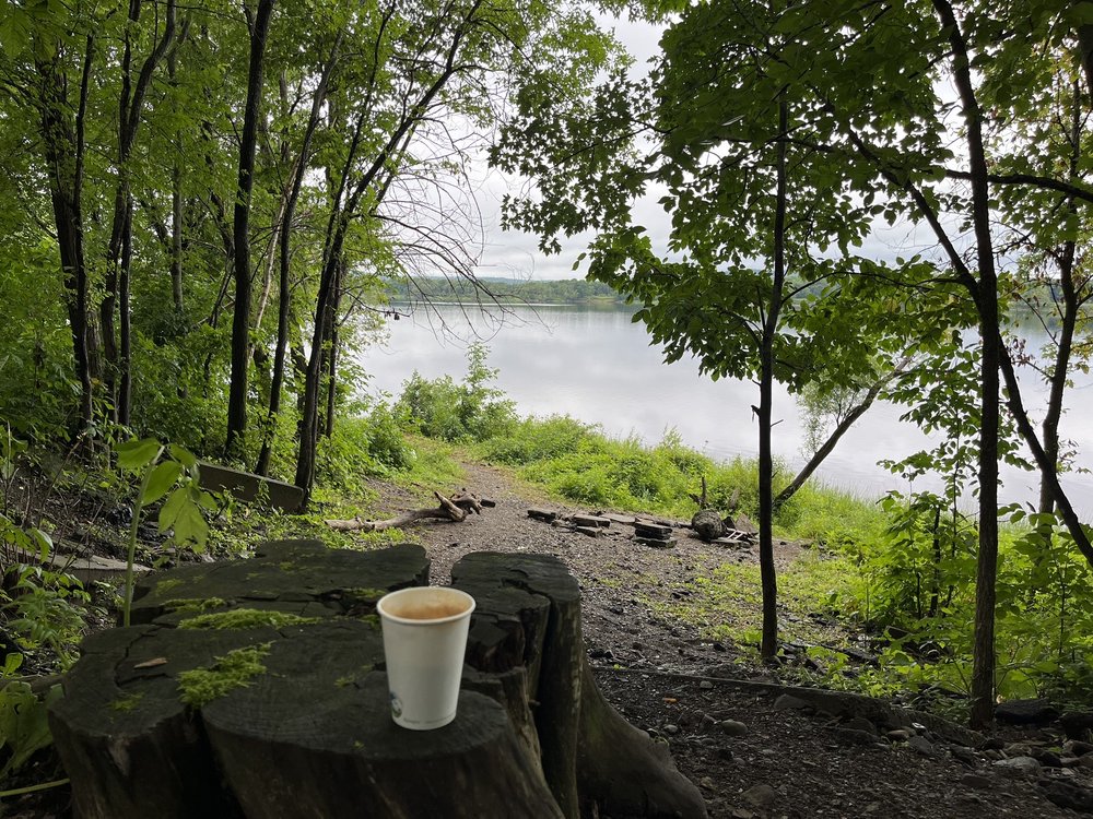 THE LILY DIPPER CAFE Updated September 2024 63 Brunswick Street