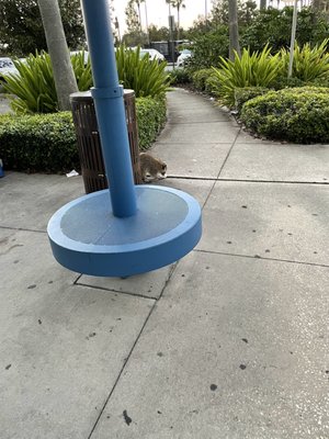 NORTH PARK PLACE ECONOMY LOT - Updated December 2025 - 17 Reviews - 1