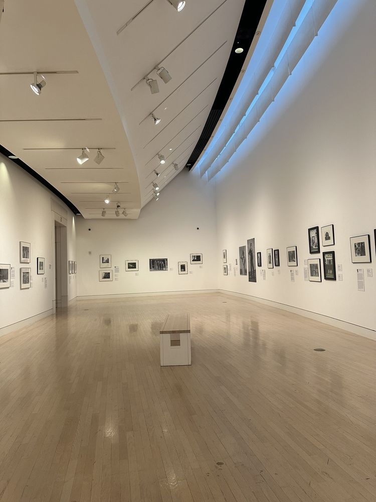 Springfield Museum of Art