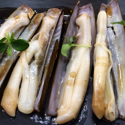 La Medusa 73 by null