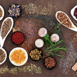 BodyActive Therapies
