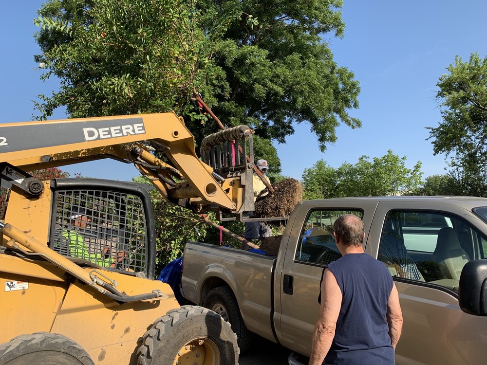 SHADES OF GREEN NURSERY AND LANDSCAPE Updated September 2024 87