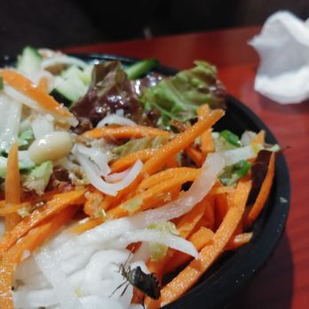 Ginger and Lemongrass - Huge LIVE insect in the vermicelli bowl - Vietnamese Near Me - Whitestone, New York Ginger and Lemongrass - Huge LIVE insect in the vermicelli bowl - Vietnamese Near Me - Whitestone, New York